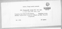 Image Associated With the Occurence